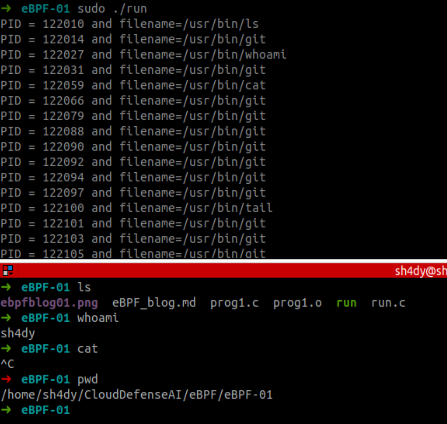 Results after compiling and executing the above program.